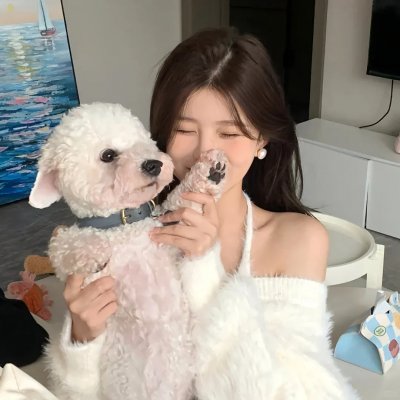 危险女婿